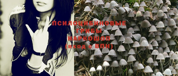 дживик Волосово