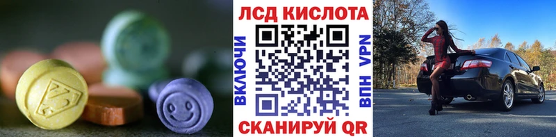 где найти наркотики  Людиново  Лсд 25 экстази ecstasy 